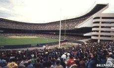 View from left field