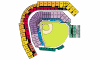 PNC Park seating diagram